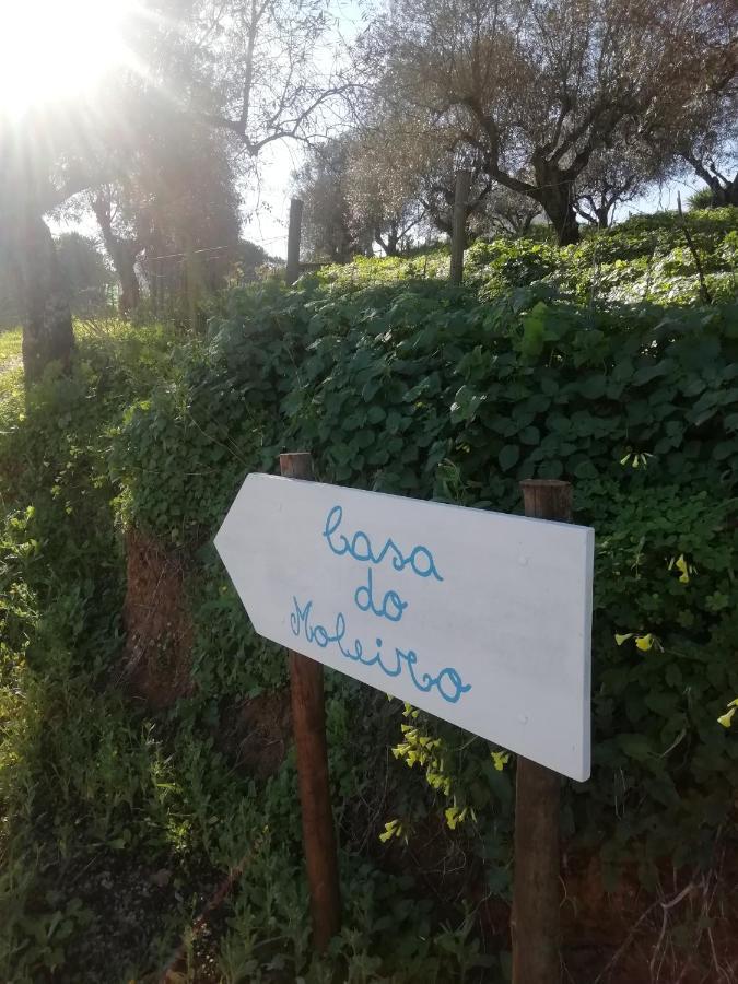Willa Casa Do Moleiro Santiago do Cacém Zewnętrze zdjęcie
